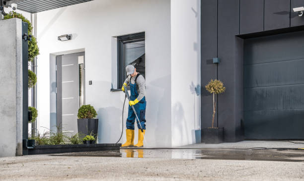 Best Driveway Pressure Washing  in Olga, FL